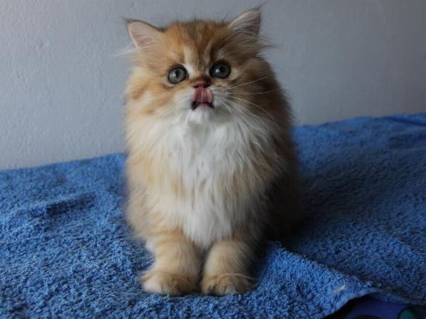 Binah