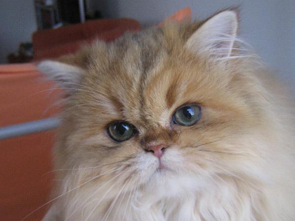 Binah