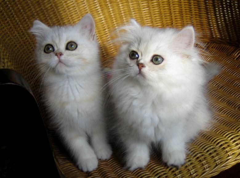 Elise und Emily